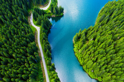 Forest and sea with a road